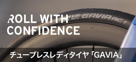 giant gavia ac 1 tubeless